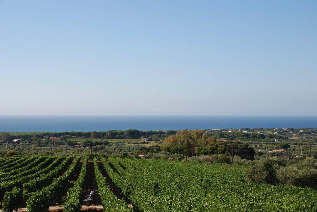 Serra Niedda Resort & Agriturismo Сорсо Экстерьер фото